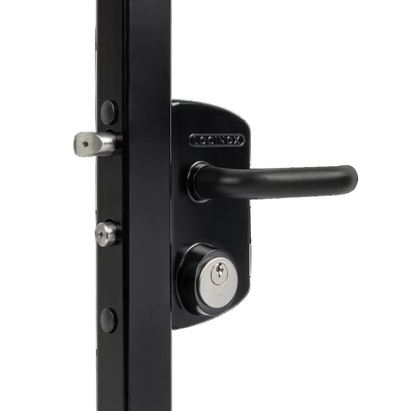 Locinox Lion Electrified Gate Closer & Lock Kit – Hydraulic Gate Closer, Electric Strike & Push Bar for Metal Gates (165 lb, 3.5 ft)