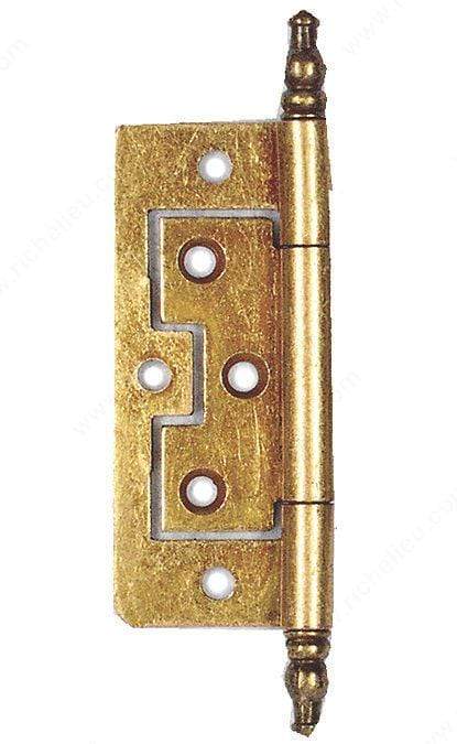 Steel non-mortise bifold hinge in various sizes and finishes, sold in a 2-pack for easy installation.