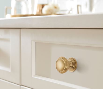 Revitalize Series cabinet knob in 1-1/4 inch size, available in multiple finishes, enhancing kitchen or cabinet decor.
