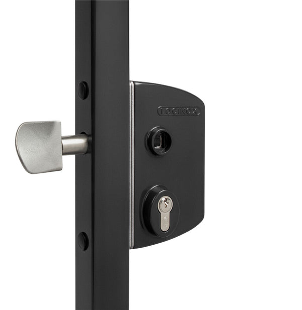 Surface Mounted Sliding Gate Lock - For Square or Round Profiles 2