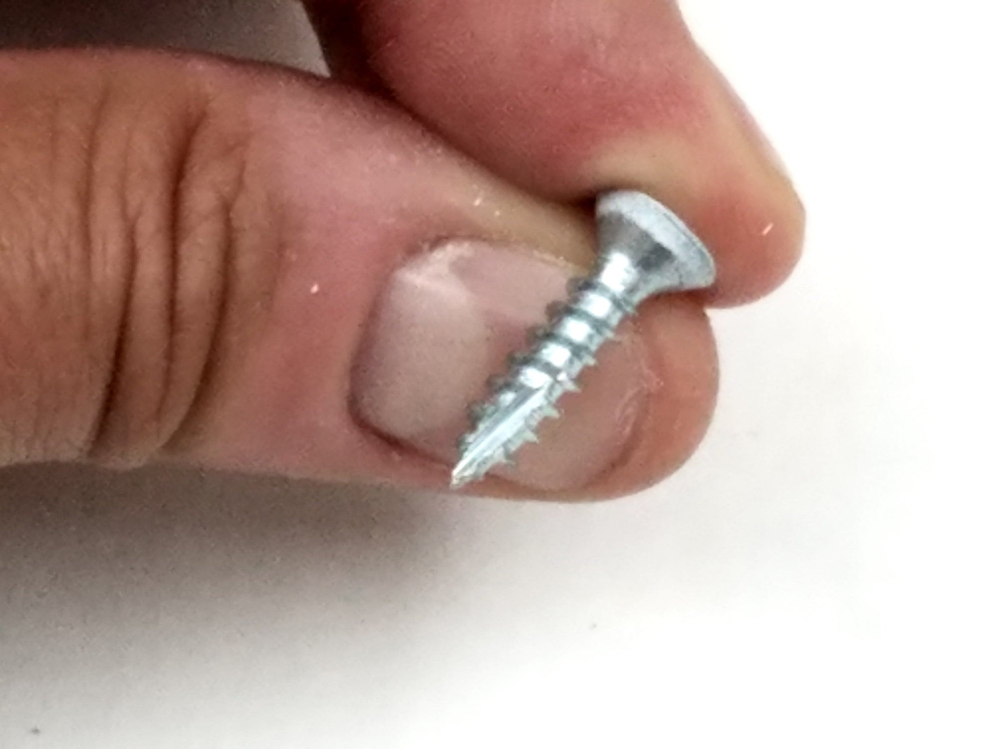 Fly Cut Wood Screws For Door Hinges - White Prime - #9 X 3/4" Inch